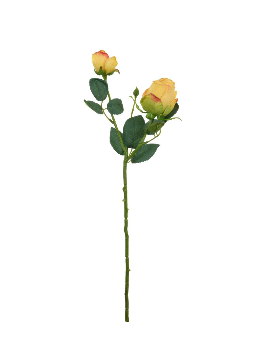 Dried Touch Gemini Rosebud