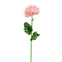 Spikey Mum Flower