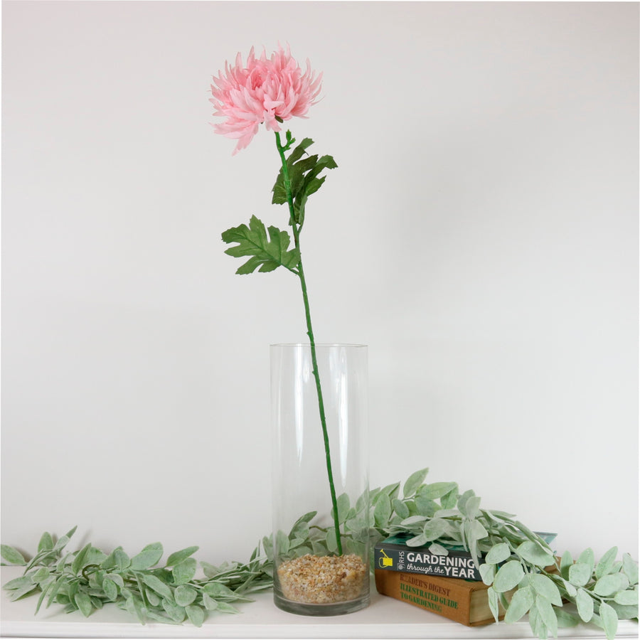 Spikey Mum Flower
