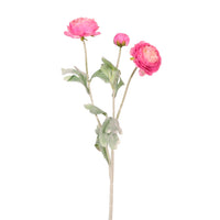 Ranunculus Spray