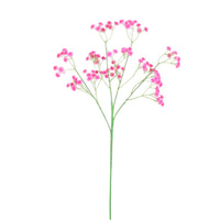 Fluffy Gypsophilia Spray