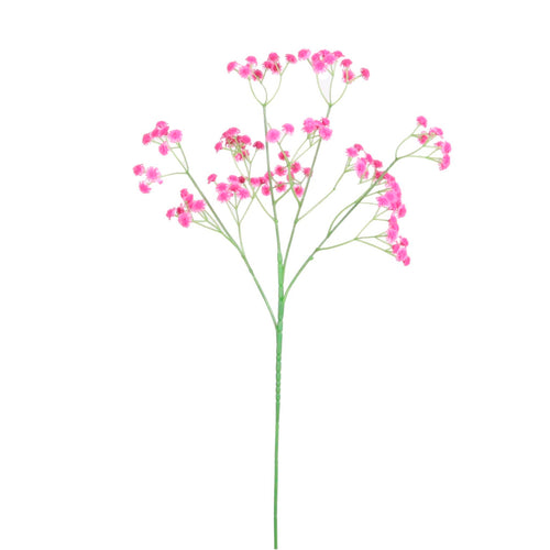 Fluffy Gypsophilia Spray