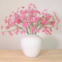 Fluffy Gypsophilia Spray