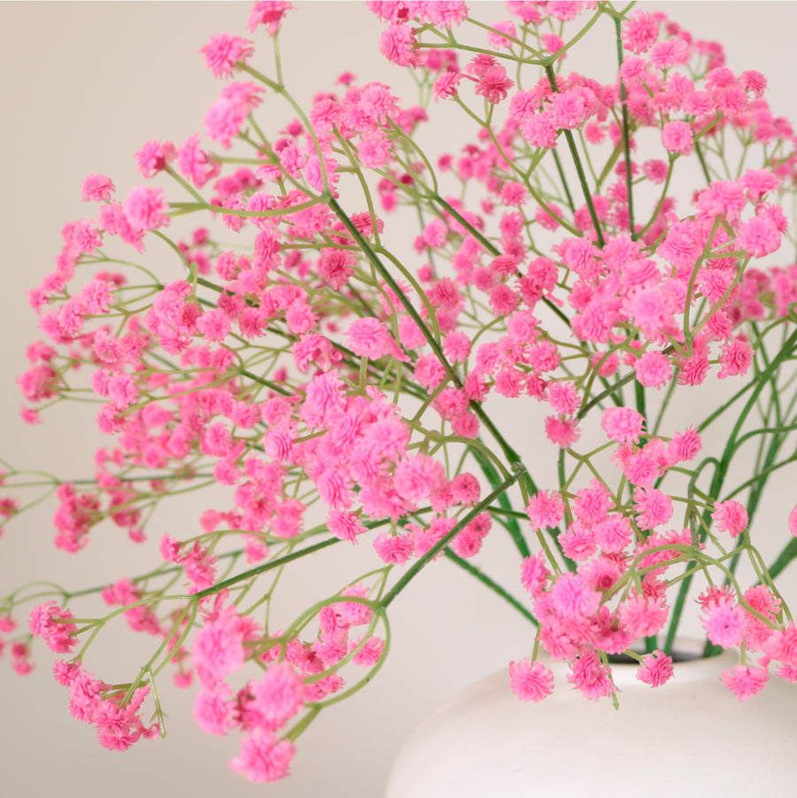 Fluffy Gypsophilia Spray