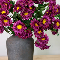 Gerbera Daisy Spray