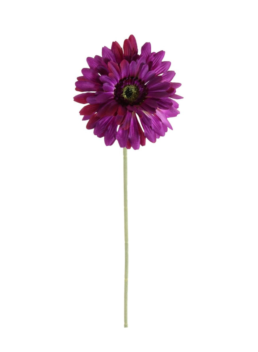 Jemima Gerbera Stem (large)