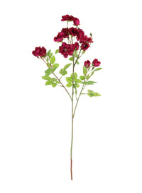 Bantry Bay Rose Spray