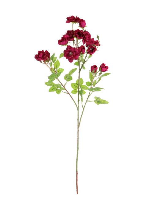 Bantry Bay Rose Spray