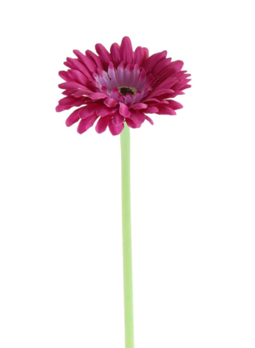 Small Gerbera Stem