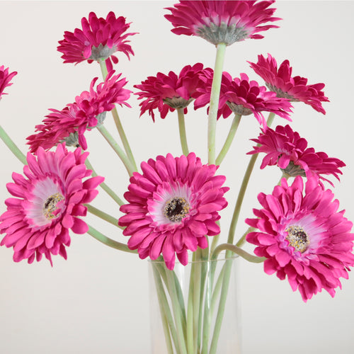 Small Gerbera Stem