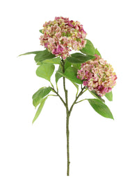 Imperial Hydrangea Spray