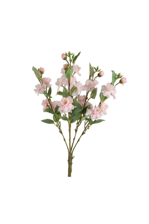 Cherry Blossom Bunch