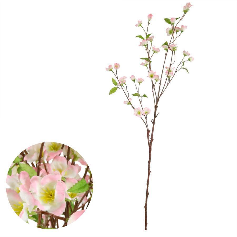 Japanese Quince Spray