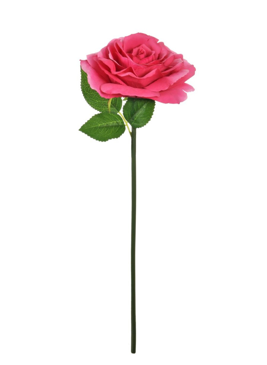 48 Rd Roses Short Stem Tudor Rose (Short Stem) - Lotus Imports Limited – Lotus Imports Ltd