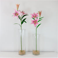 Asiatic Lily (large)