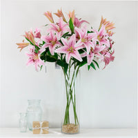 Asiatic Lily (large)