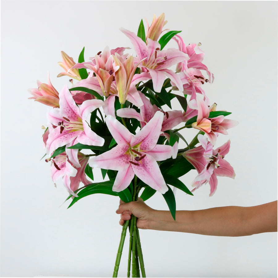 Asiatic Lily (large)