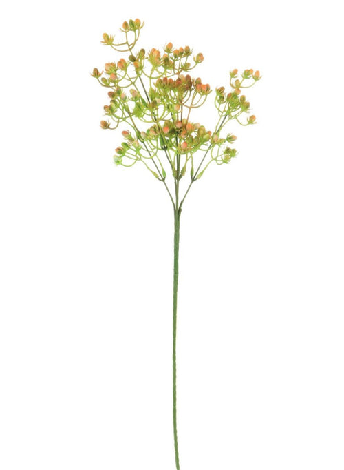 Spikey Bud (long Stem)
