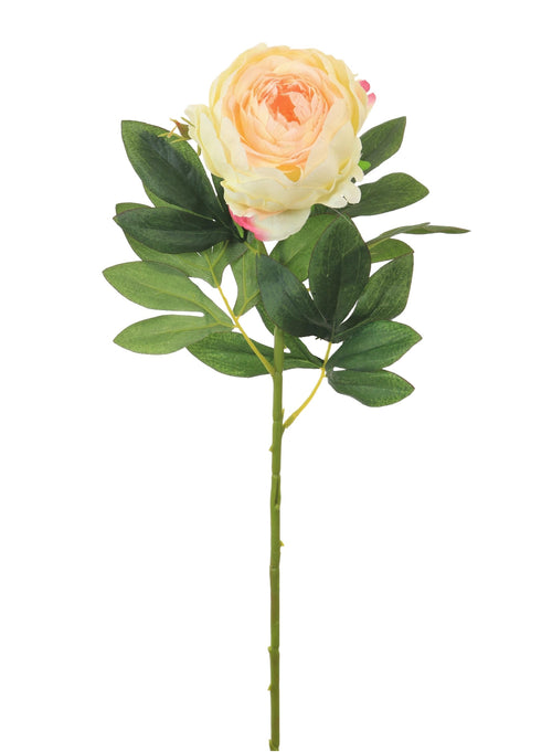 Millicent Peony