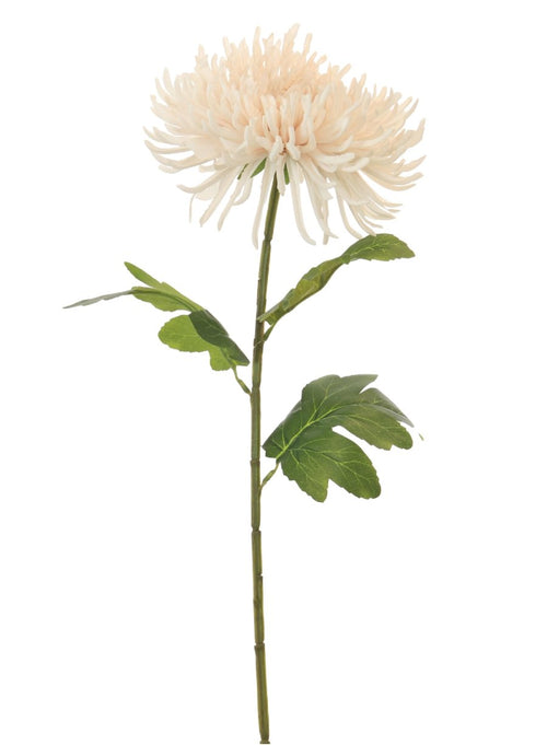 Fuji Mum