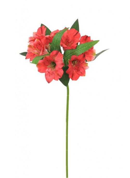 Alstroemeria (small)