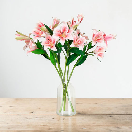 Asiatic Lily (small)