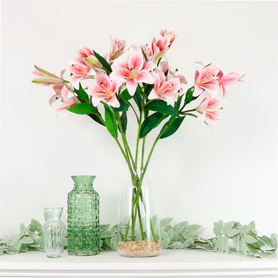 Asiatic Lily (small)