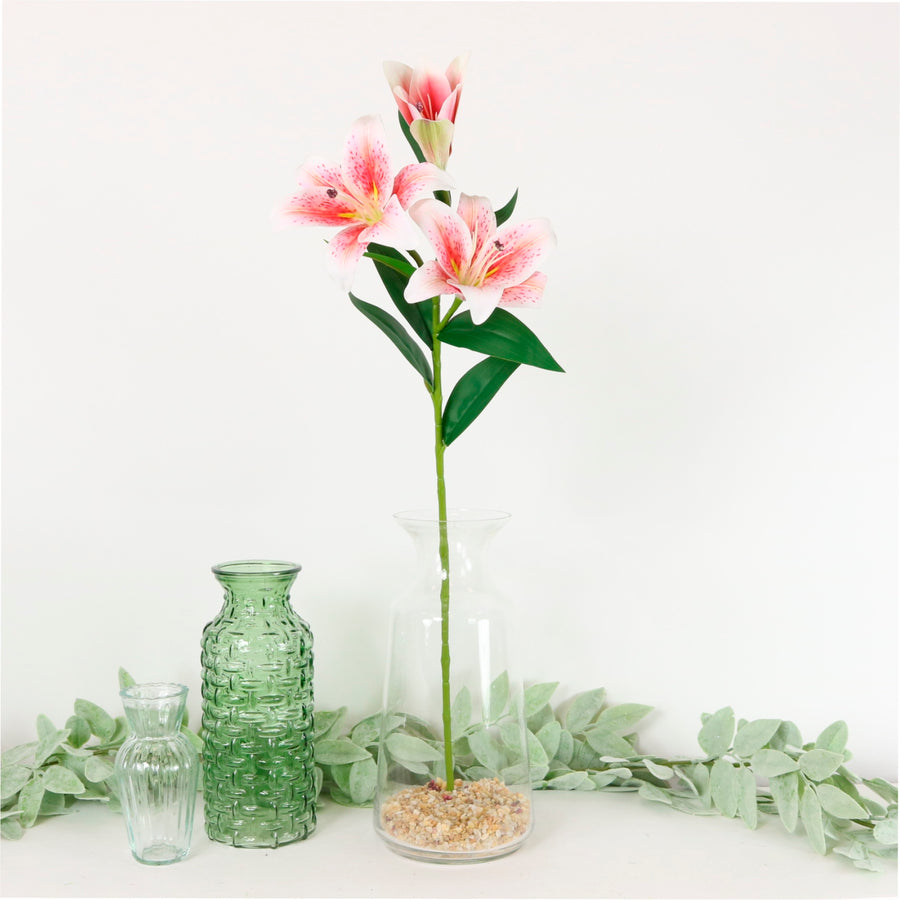 Asiatic Lily (small)