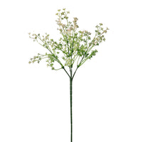 Felicity Bud (long Stem)