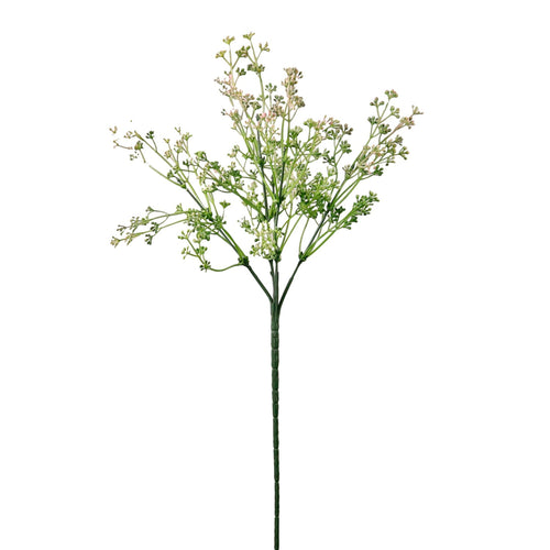 Felicity Bud (long Stem)