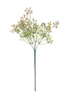 Felicity Bud (long Stem)