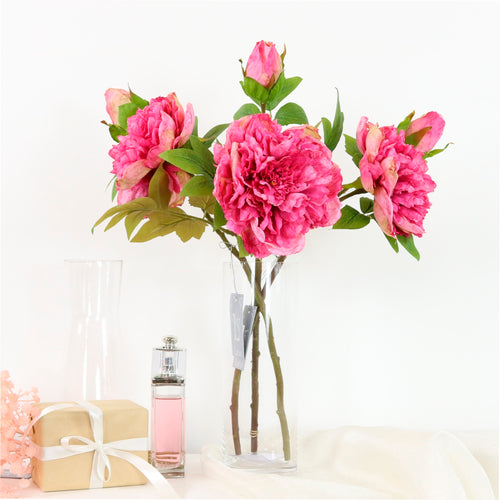 Dried Touch Open Peony