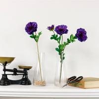 Anemone Spray