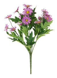 Oxeye Daisy Bunch