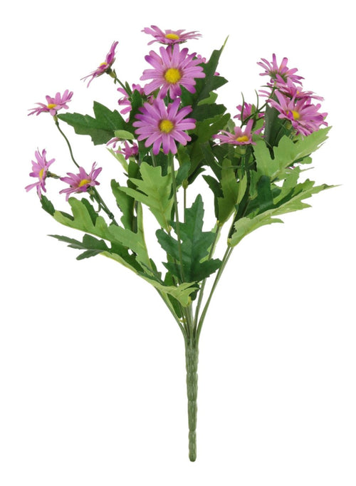 Oxeye Daisy Bunch