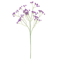 Fluffy Gypsophilia Spray