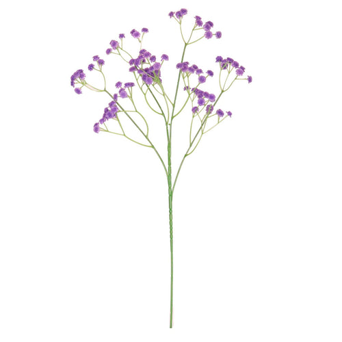 Fluffy Gypsophilia Spray