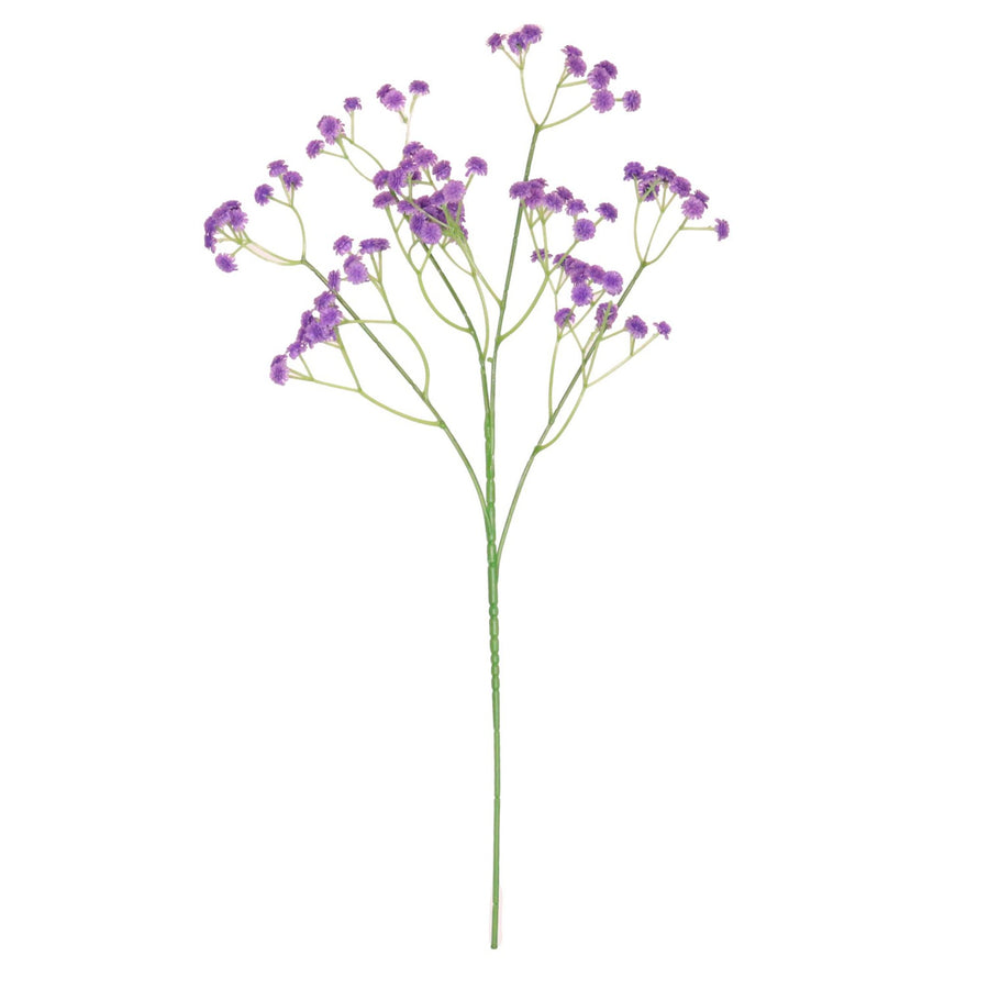 Fluffy Gypsophilia Spray