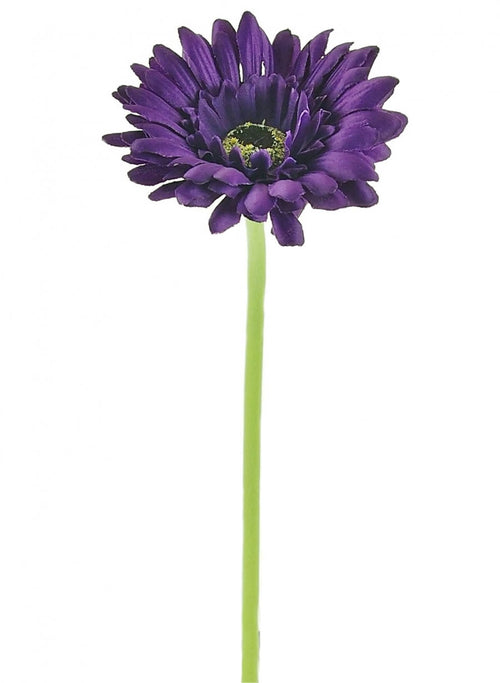 Small Gerbera Stem