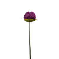 Peony Short Stem