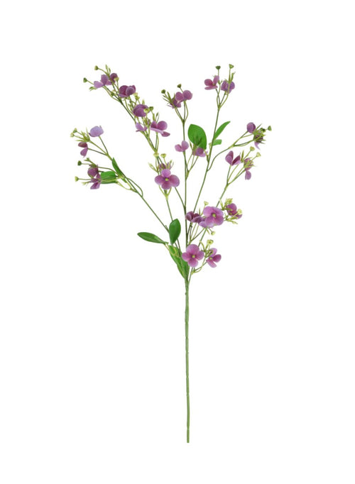 Florence Spray