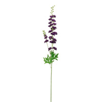 Slim Stock (delphinium)