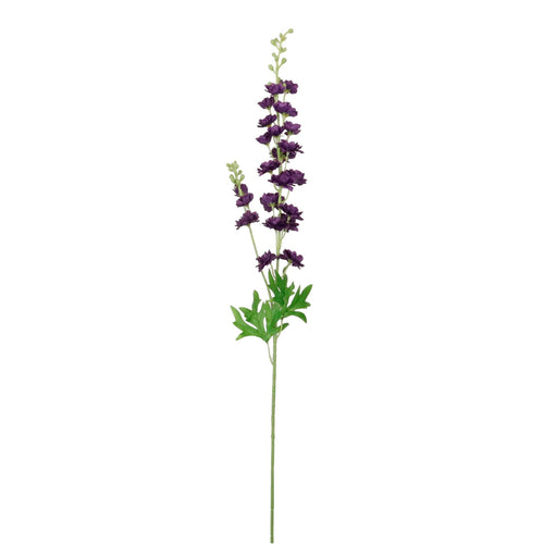 Slim Stock (delphinium)