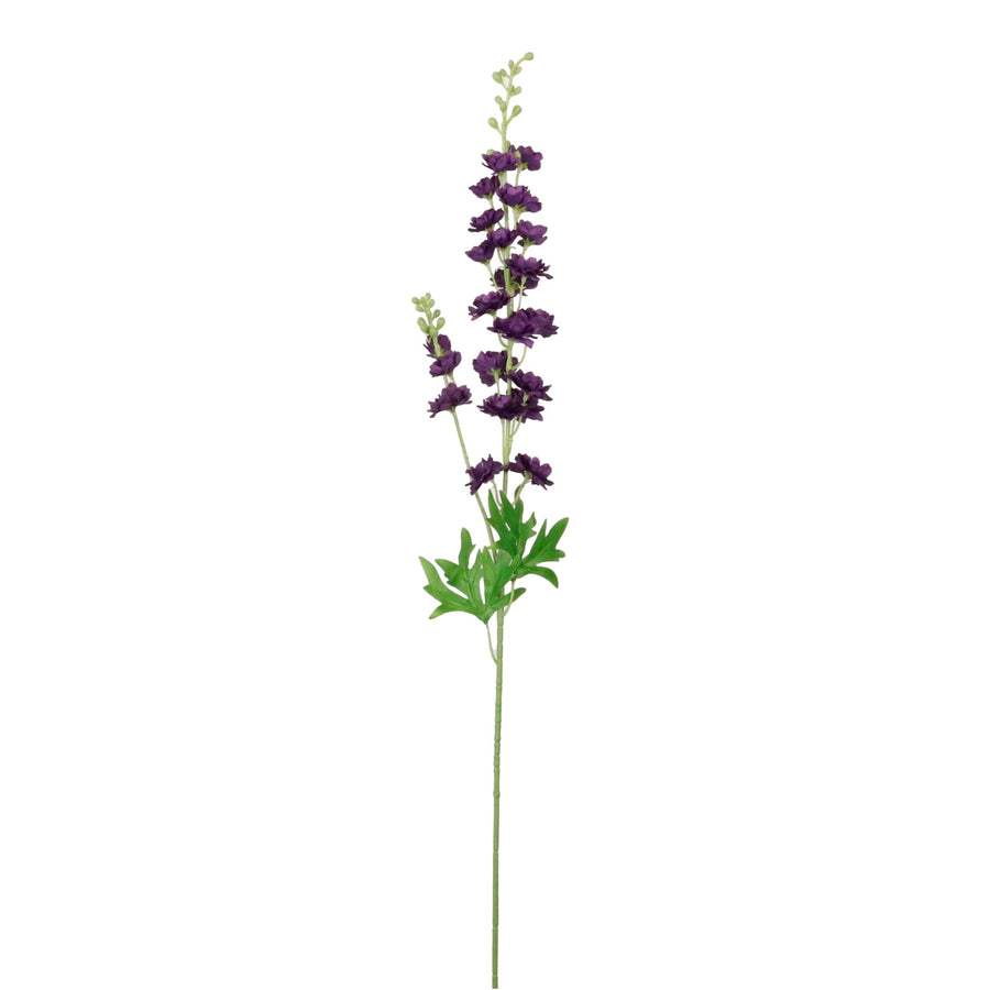 Slim Stock (delphinium)