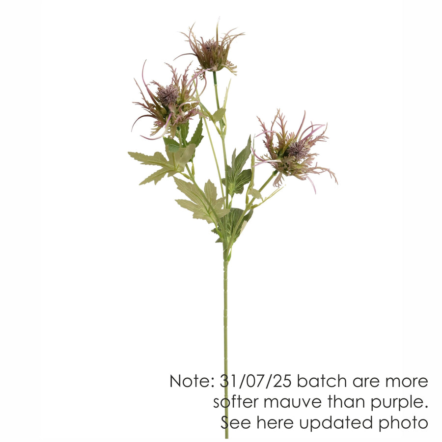 Spikey Thistle