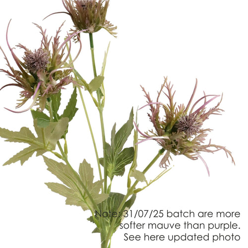 Spikey Thistle