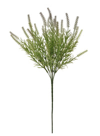 Thorn Spray