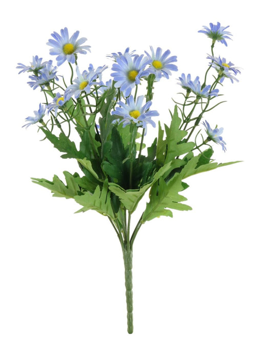 Oxeye Daisy Bunch
