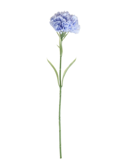 Carnation Stem