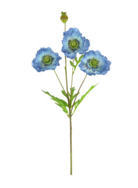 Grand Oriental Poppy